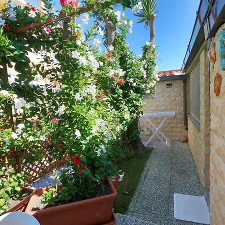 Holiday home Casa Fiorita Sant'Andrea (Sardinia)