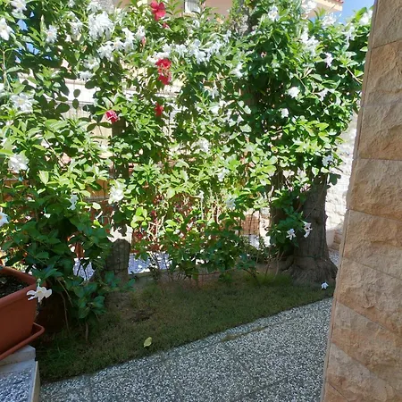 Casa Fiorita Holiday home Sant'Andrea (Sardinia)